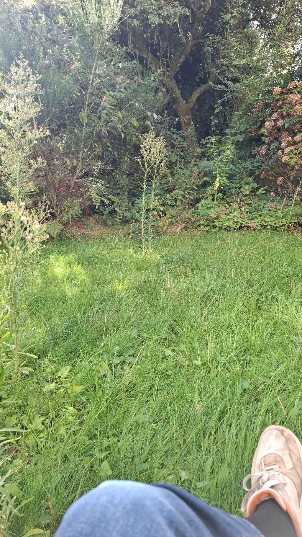 Der Garten Duisburg